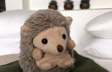 Félix Le Renfrogné Aubagne-Cassis-Aix en Provence - Foto 21