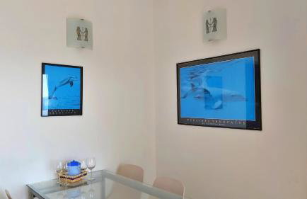 Apartments Borak - Foto 34