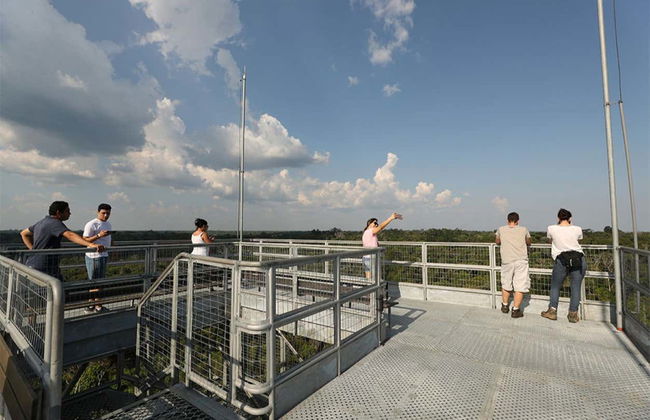 Museu da Amazônia Tour - Photo 5