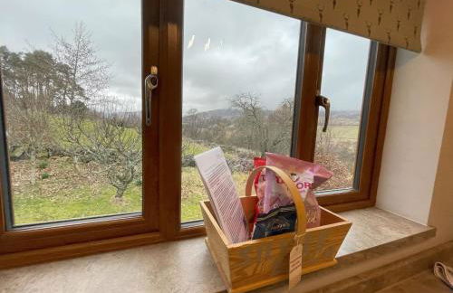 Silver Birch Treehouse - Foto 8