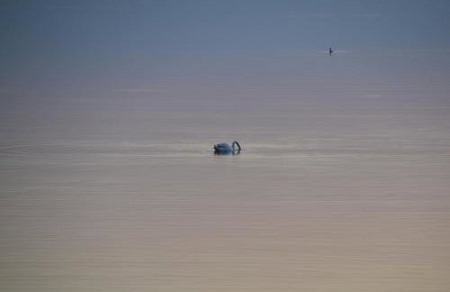 Panorama Lake Resort - Foto 45