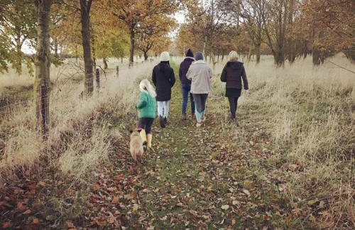 Teal Lodge - Foto 24