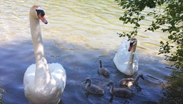 Casa Patrizia - Foto 2