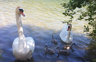 Casa Patrizia - Foto 2