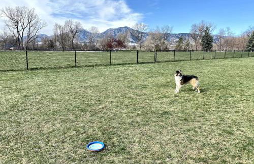 Dog Friendly Oasis Private Hot Tub with Sauna - Photo 12