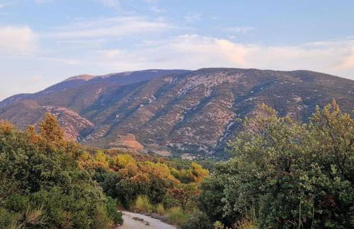 Bastidon La Garrigue - Foto 37