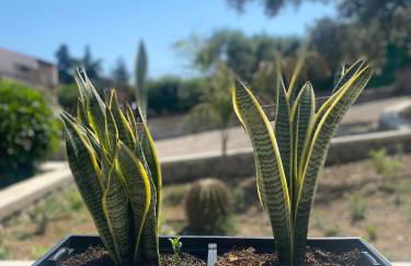 Villa Clori - Foto 46