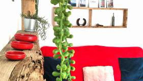 Raíz Azul 2 cerquita de Salinas - Foto 2