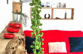 Raíz Azul 2 cerquita de Salinas - Foto 2