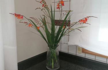 A Casa da Tía Babel - Foto 33