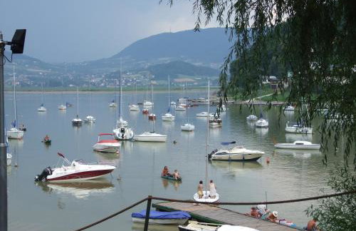 Farma Zdrowia - Foto 19