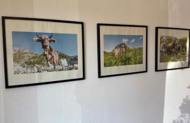 Ferienwohnung nahe des Bodensees - Foto 5