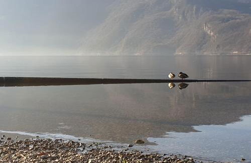 Bilocale sul Lago di Como La Ca' ai Mulen - Foto 69