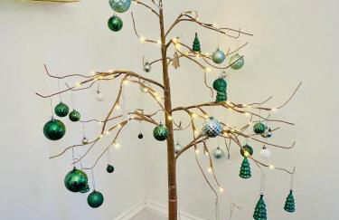 Glasgow Center/West End Apartment - Foto 16