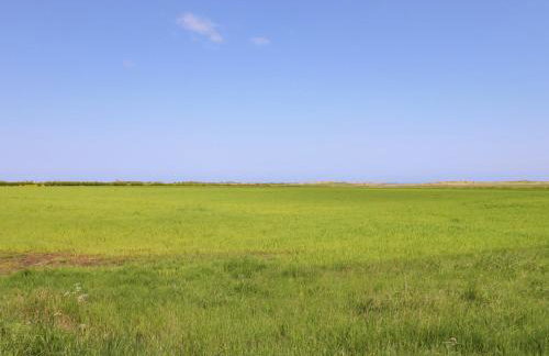 The Mustard Pot - Foto 27