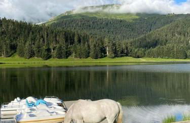 Gite Du Montagnol A Payolle - Foto 41