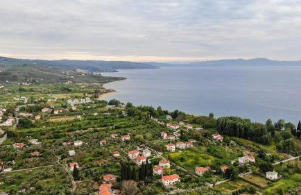 The Olive Home - Photo 15