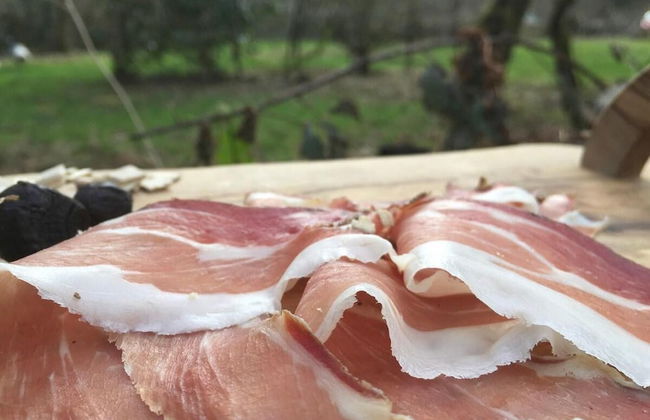 Countryside Cottage Retreat at Ty'r Cwm Farm - Photo 14