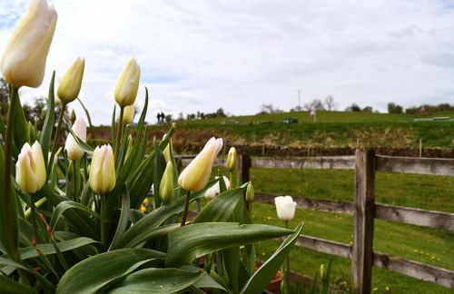 Luxury Self-Catering Apartment - Foto 5