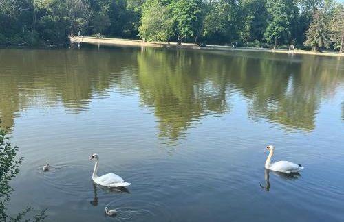 Studio dans le quartier luxe - Foto 31