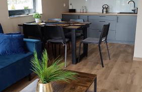 Domki Pod Łysicą- basen jacuzzi sauna - Foto 17