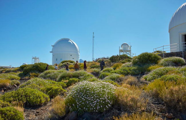 Volcano Teide - Foto 12