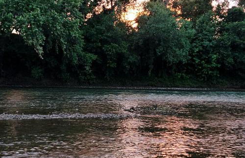 River RV, Romance Glamping Pup Paradise Riverside - Foto 30