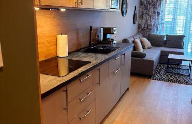 Oliwkowy - stylowy Apartament w naturalnym klimacie - Photo 50