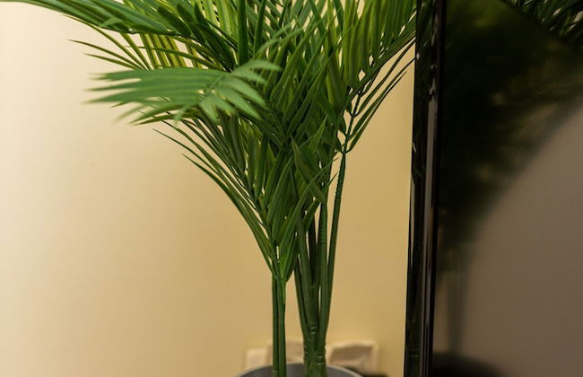 Studio Warsaw Miączyńska by Renters - Photo 15