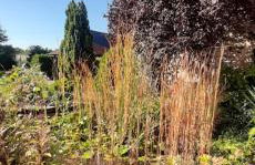 FeWo Rohleder de mit 130m2 und Garten für 6Pers mit 2 Bad - Foto 9