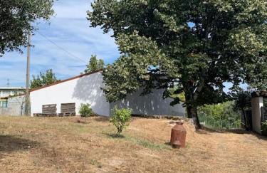 Casa da Oliveira - Foto 23