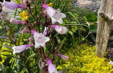 Modern 3-BR Townhome w Private Backyard Near RTP - Foto 68