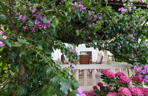 Apartment Tomaš - Photo 11