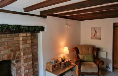 Little Lucy - Foto 9