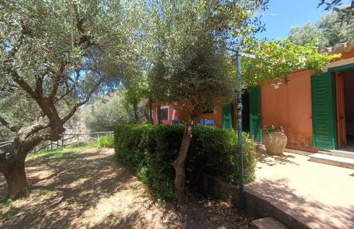 Ville Selena e Gemma - Foto 10