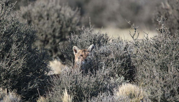 Check out the interesting animals!