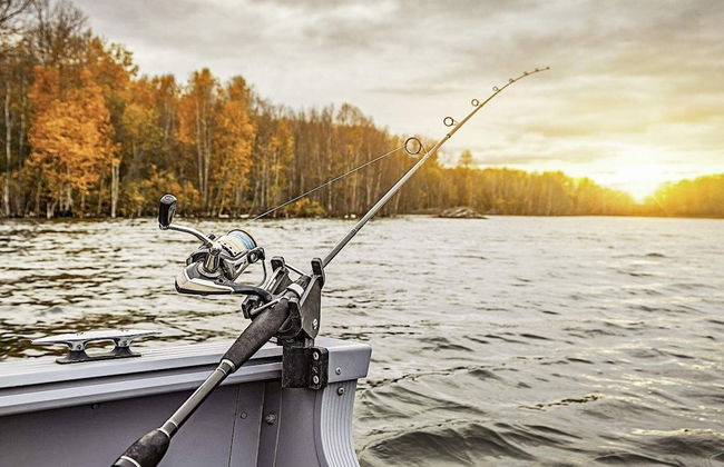 4 Person Holiday Home in Fargelanda-by Traum - Photo 10