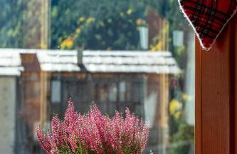 Monterosa Residence Hotel - Foto 29