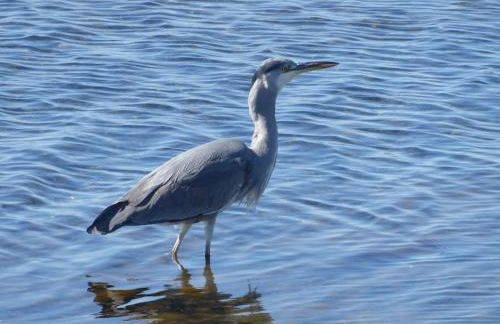 Maison rénovée à 250m de la mer - Foto 33