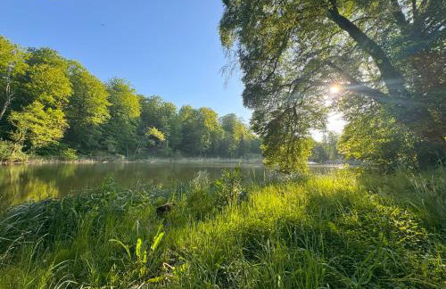 GrandBytyń House - Foto 62