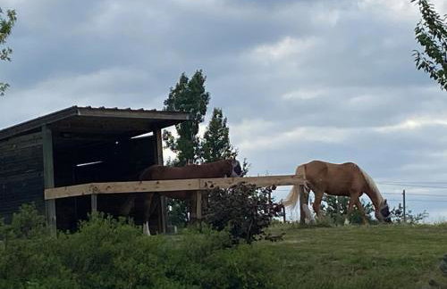 Logement entier de charme, gite équestre GERS Flamarens - Foto 54