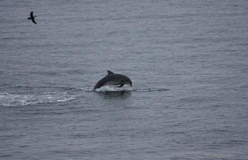 Riff Farmhouse, ideal for exploring Orkney - Photo 15