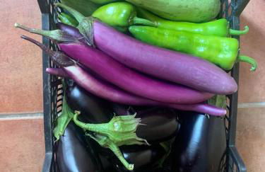 La Garrofera - Foto 21