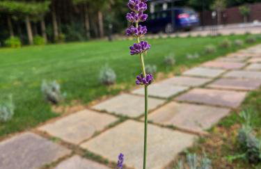 House4Seasons - Foto 46