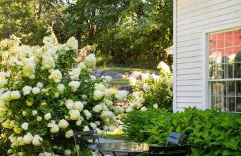 Haddock Cotter Chic Farmhouse and Barn w Pool - Foto 13