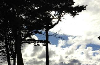 Hillside View - Foto 16