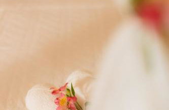 Rancho das Estrelas - Foto 44