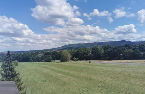 Ferienwohnungen Harzblick - Foto 32