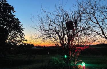 Il laghetto - Photo 9