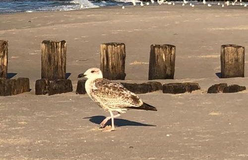 Apartament z Tarasem Plaza 22 - Foto 43